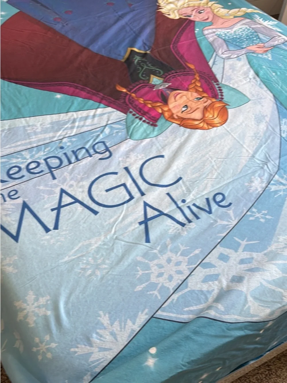 Disney Frozen Anna & Elsa Kids sheet Set 1 sheet and 2 pillow cases